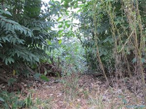 1208 m² Land available in Marina Beach