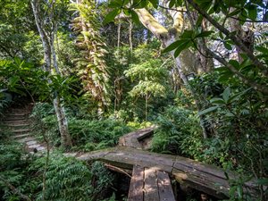 7187 m² Land available in Cowies Hill