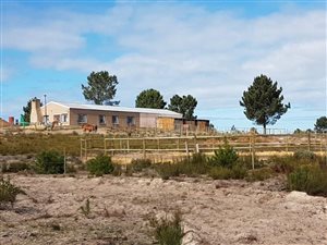 56 ha Farm in Albertinia