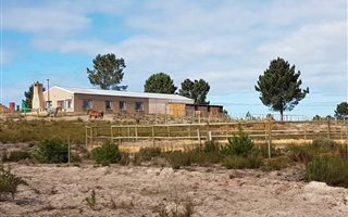 56 ha Farm in Albertinia
