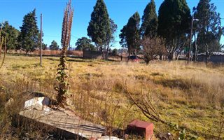 5315 m² Farm in Memel