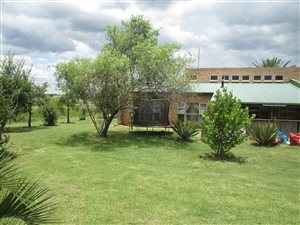 8.5 ha Farm in Onderstepoort