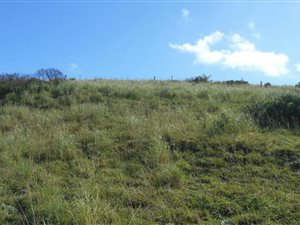 999 m² Land available in Morgans Bay