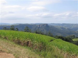 16 ha Farm in Uvongo