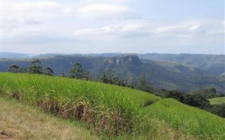 16 ha Farm in Uvongo