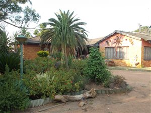 9.1 ha Farm in Grootvlei AH