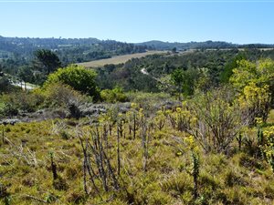 4466 m² Land available in Eastford Vale