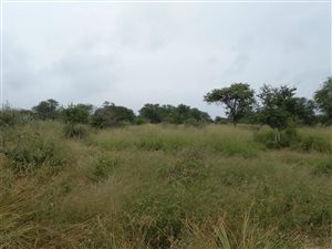 228 ha Farm in Thabazimbi