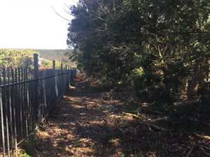 3.6 ha Land available in Kraaibosch
