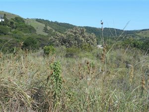 910 m² Land available in Morgans Bay