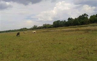 Farm in Faerie Glen