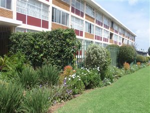 1 Bed Apartment in Eastleigh