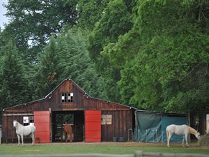 1.8 ha Farm in Himeville
