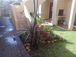 1 Bed Apartment in Bellair