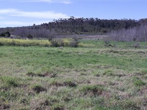 875 m² Land available in Caledon