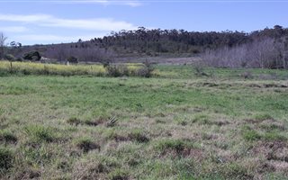 875 m² Land available in Caledon