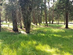 2674 m² Land available in Nottingham Road