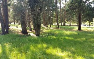 2674 m² Land available in Nottingham Road