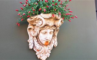 3 Bedroom House in Copperleaf