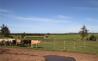 740 ha Farm in Plettenberg Bay