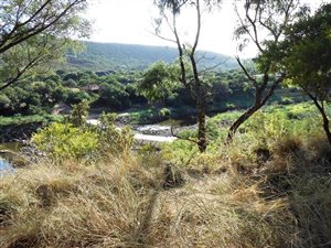 1014 m² Land available in Presidentsrus