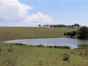 102.2 ha Land available in Machadodorp