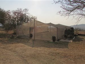 8.5 ha Farm in Palmietfontein