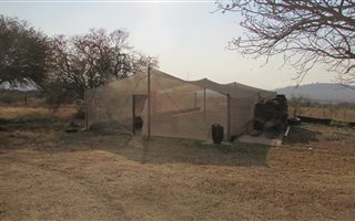 8.5 ha Farm in Palmietfontein