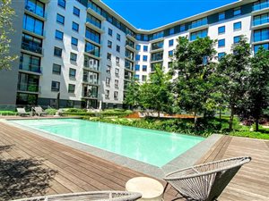 1 Bed Apartment in Melrose North