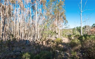 4 ha Land available in Victoria Heights