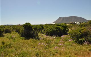841 m² Land available in Van Dyks Bay