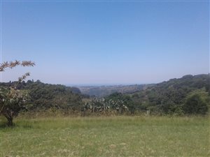 1000 m² Land available in Forest Hills