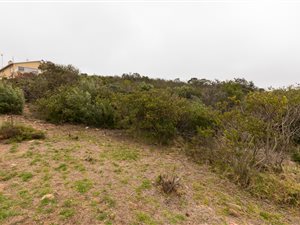 853 m² Land available in Island View