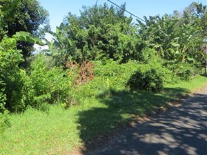 1513 m² Land available in Palm Beach