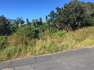 5000 m² Land available in Palm Beach