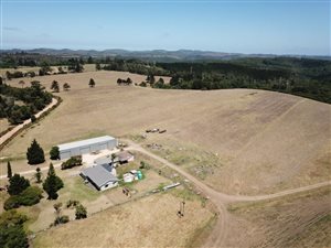 104 ha Farm in Rheenendal