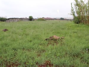 1492 m² Land available in Welgedacht