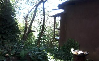6 ha Farm in Fairview