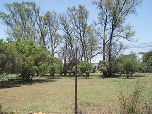 1 ha Land available in Mooikloof Equestrian Estate