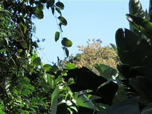 2031 m² Land available in Southbroom