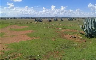 1 ha Farmland in Bloemfontein Farms
