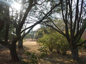 1.1 ha Land available in Centurion CBD