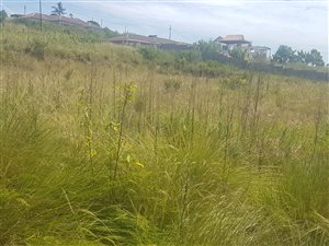 800 m² Land available in Umbumbulu