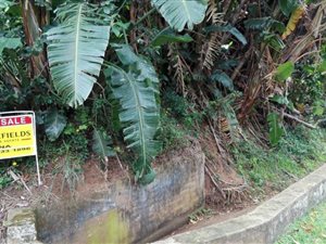 1032 m² Land available in Trafalgar