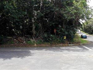 1032 m² Land available in Trafalgar