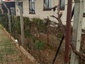 3 Bed House in Noycedale