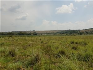 5.1 ha Land available in Donkerhoek