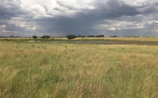 31.8 ha Farm in Kafferskraal AH