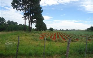 18 ha Land available in Heidelberg AH