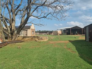 379 ha Farm in Newcastle Central